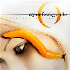 A Perfect Circle — Pet