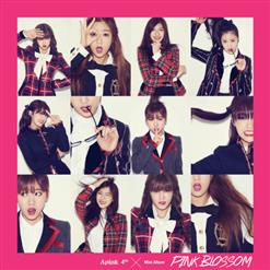 A Pink (에이핑크) — Mr. Chu