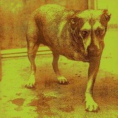 Alice In Chains — Heaven Beside You
