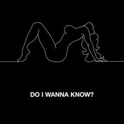 Arctic Monkeys — Do I Wanna Know?