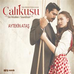 Aytekin Ataş — Yıldızlara doğru