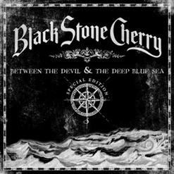 Black Stone Cherry — White Trash Millionaire