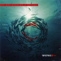 Чичерина — Жара