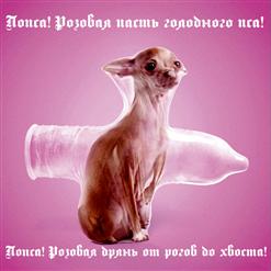 ДДТ — Попса