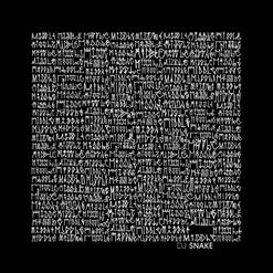 DJ Snake — Middle (Feat. Bipolar Sunshine)