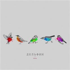 Dolphin — Рябиновые Птицы