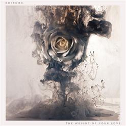 Editors — Sugar