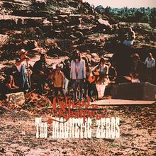 Edward Sharpe And The Magnetic Zeros — Home