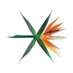 EXO (엑소) — Ko Ko Bop