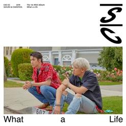 EXO-SC — What A Life