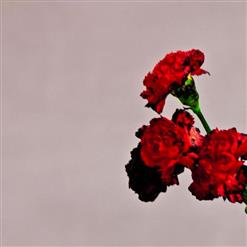 John Legend — You & I (Nobody In The World)