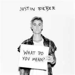 Justin Bieber — What Do You Mean?