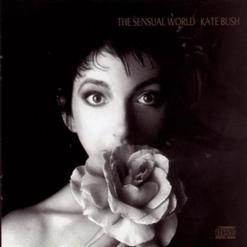 Kate Bush — This Woman's Work