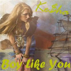 Kesha — Boy Like You
