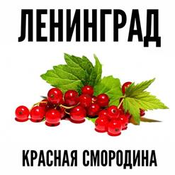 Ленинград — Красная Смородина