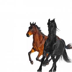 Lil Nas X — Old Town Road