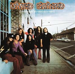 Lynyrd Skynyrd — Tuesday's Gone