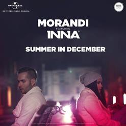Morandi — Summer In December