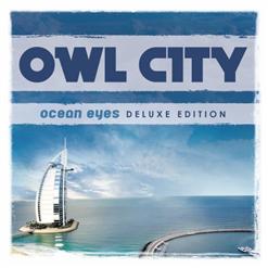 Owl City — Fireflies