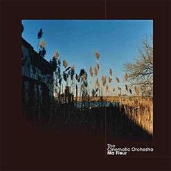 Patrick Watson — To Build A Home