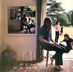 Pink Floyd — Grantchester Meadows