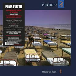 Pink Floyd — Terminal Frost
