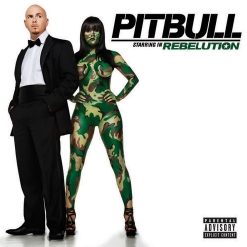 Pitbull — Hotel Room Service