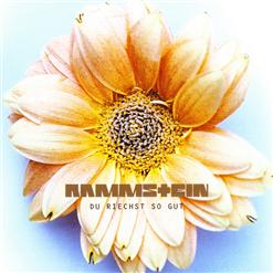 Rammstein — Du riechst so gut (Single Version)