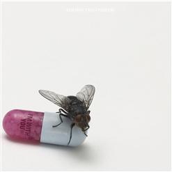Red Hot Chili Peppers — Even You, Brutus?