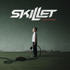 Skillet — Falling Inside the Black