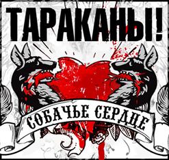 Тараканы! — Собачье Сердце