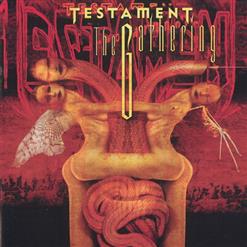 Testament — D.N.R. (Do Not Resuscitate)