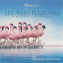 The Cinematic Orchestra — Arrival Of The Birds