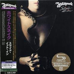 Whitesnake — Give Me More Time