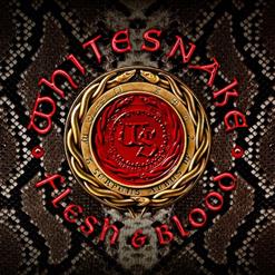 Whitesnake — Trouble Is Your Middle Name